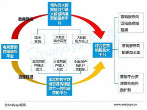 2016中國電商數(shù)字營銷市場專題報告 數(shù)字技術(shù)服務(wù)的崛起與變革