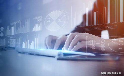 數(shù)字技術服務企業(yè)政策申報秘籍 成功率提升100%的實操指南